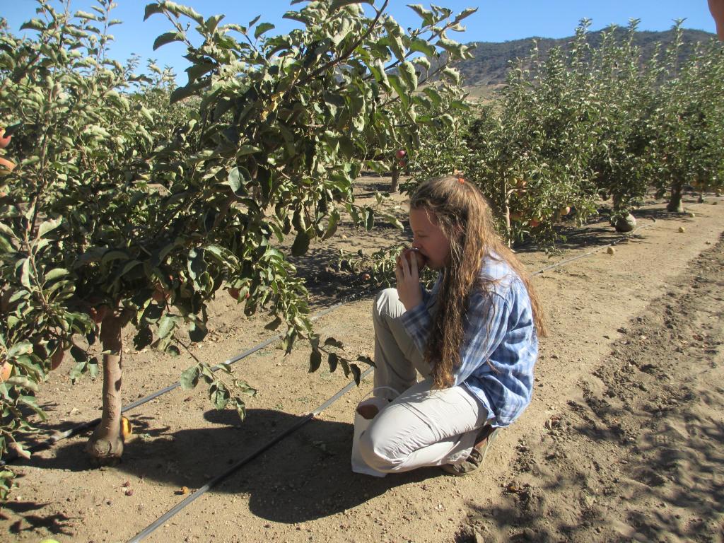 Why not better? – A Rapunzel&nbsp;Journey